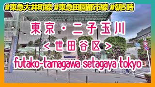 東京散歩 二子玉川(世田谷区) Tokyo Cityscape Futako-tamagawa Setagaya-ku 2021.08