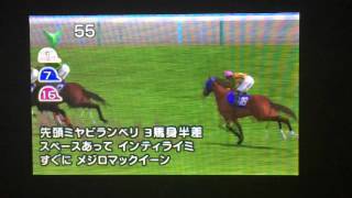 G1グランプリ 天皇賞春 VSメジロマックイーン