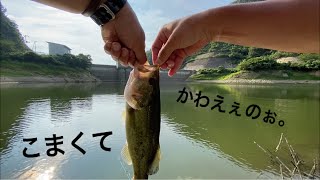 広島の野池！ブラックバスの入れ食いだった！