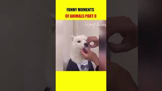 डोगू बन गया कचरा सेठ 😂| Funny Moments Of Animals Part 8 | #short