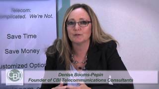 CBI Denise Overview