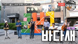 바다새 - 바다새, 5월 사이그라운드 버스킹, cover by 수요반, 통기타친구