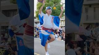 「第38回 南越谷阿波踊り」藍響連  演舞 2024 南越谷阿波踊り   Awaodori in Minamikoshigaya  8/25 Awa dance #shorts