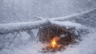Survival Challenge in Heavy Snow and Blizzard-19°C TemperatureAlone in the Deep Wild,and Cold Jungle