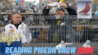 Reading Pigeon Show [2025]