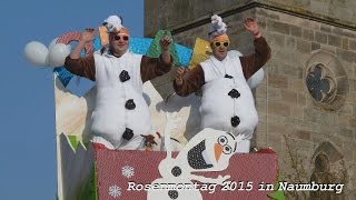 Rosenmontagszug 2015 in Naumburg, Bilderserie von tubehorst1