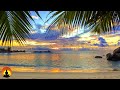 🔴 Relaxing Piano Music 24/7, Beautiful Piano Music, Sleep Music, Relax, Meditation, Sleep, Study