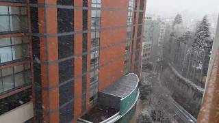 Heavy snowfall in Tokyo, Japan on 22-Jan. 东京下雪了。2018年1月22日。