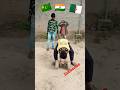 VANDE KOMATARAM #subscribe #youtubeshorts #shortsfeed #trending #viral #indianarmy #shorts