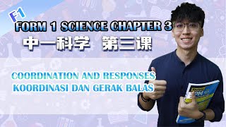 KSSM 中一科学第三课 | F1 Science Chapter 3| Coordination and Responses