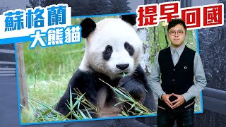 【on.cc東網】東網點評：蘇格蘭動物園財困　擬交還熊貓予中國