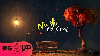 Theo Rose - Nu Stii Ce Vrei | Lyric Video