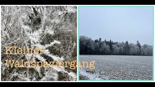 Kleiner Waldspaziergang bei -3 Grad *Mein erstes Video*