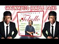 (FREE🔥) ShaunMusiQ Sample Packs | Tokollo Sample Packs ✨️ | Amapiano Sample Pack
