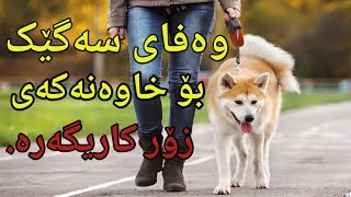 زۆر گاریگەرە. وەفای سەگێک بۆ خاوەنەکەی!!!