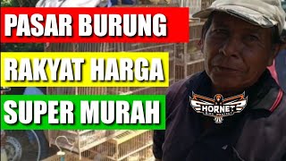 SURVEY HARGA BURUNG MURAH MERIAH (PASAR BURUNG KLIWONAN BEKONANG SUKOHARJO JAWA TENGAH)