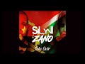 Dj Silyvi ft. Zano - Take Over (Original Mix)