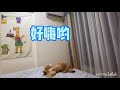 胖嘟萌宠涂涂的日常合集03