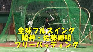 【フルスイング】阪神・佐藤輝明　フリーバッティング～2021.4.20