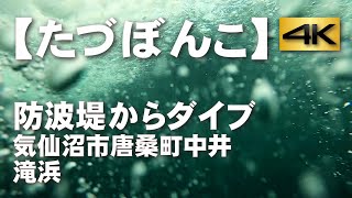 【たづぼんこ】防波堤からダイブ・気仙沼市唐桑町中井