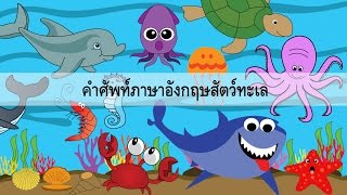 Sea Animal คำศัพท์สัตว์ทะเล