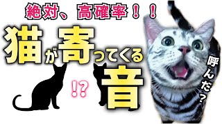 【猫が寄ってくる音】高確率で近寄るか、音が気になります　The sound of a cat coming close to you.