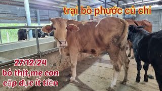 27/12/24: mẹ con: 20tr, cặp đực: 19,5tr, cặp cái xác: 25,5tr, cái thịt...lh 0366407679