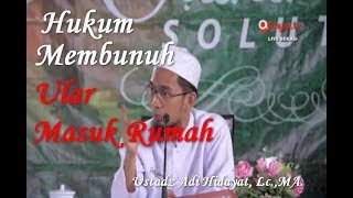 Hukum Bunuh Ular Masuk Rumah | Bolehkah Membunuh Ular Masuk Rumah, Ustadz Adi Hidayat, Lc., MA.