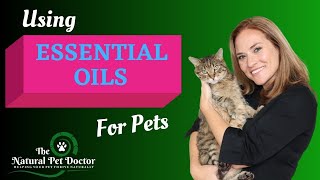 How to Use Essential Oils Safely in Your Dogs and Cats with Dr. Katie - The Natural Pet Doctor