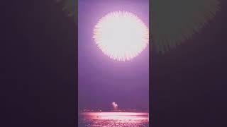 Fireworks 🎇 watch until the end #short #satisfying #relax #enjoy #asmr