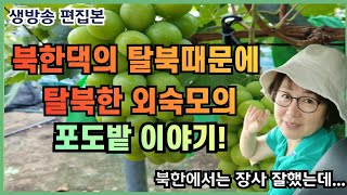 한국에는 너무 많아서 어려운 이것은?