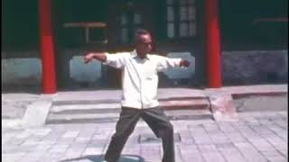 陳氏太極拳　陳発科高徒　雷慕尼　新架1路 Chen faka style Taichi