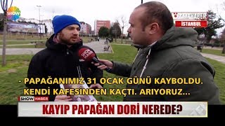 Kayıp papağan Dori nerede?