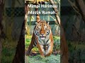 Arti mimpi harimau masuk rumah