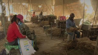 Incense stick production a boost to rural Vietnamese economy