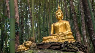 Buddha's Flute: Awakening 2 | Music for Meditation & Zen