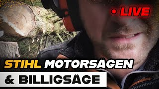 🌲🚜 BAUM FÄLLEN mit STIHL MS 500i, MS 194 & 109,-€ Billig Motorsäge