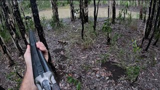 HUNTING BUFFALO WITH A DOUBLE RIFLE .500 NITRO EXPRESS -   PT 2 #outdoors #adventure #hunting