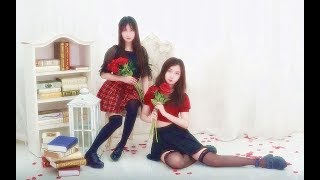 【多尔X晚寻】La Vie en Rose（玫瑰人生）——一起染上玫瑰的颜色