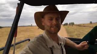 Mbalageti Serengeti Game Drive Experience Review- Wildebeest