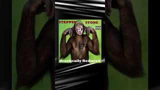 Steppin' Stone by drastically Reduced