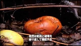 『TRASHED-ゴミ地球の代償-』映画オリジナル予告編