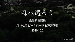 森へ還ろう　鳥取県智頭町芦津渓谷