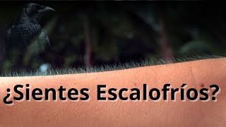 Descubre el Significado Espiritual detrás de los Escalofríos.