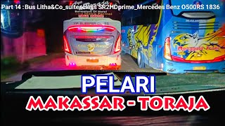 Celebes Bus || Berlarian Bareng Pelari Makassar - Toraja