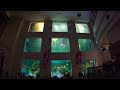 2025.01.05 mermaid show ④ 千葉みなと・マーメイドショー 19 00〜