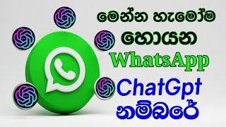 මෙන්න හැමෝම හොයපු වට්ස්ඇප් ChatGpt නම්බරේ | WhatsApp Chatgpt Number 😻