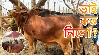 ভাই কত নিলো? | Bhai Koto Nilo? | Hazratpur Paragram Gorur Haat 2023 | Qurbani Eid | Cattle World