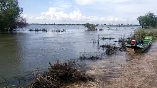 Cambodia flood 2021| ស្ថានភាពទឹកជំនន់នៅខេត្តបន្ទាយមានជ័យ02.11.2021