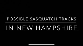 Possible SASQUATCH tracks in New Hampshire